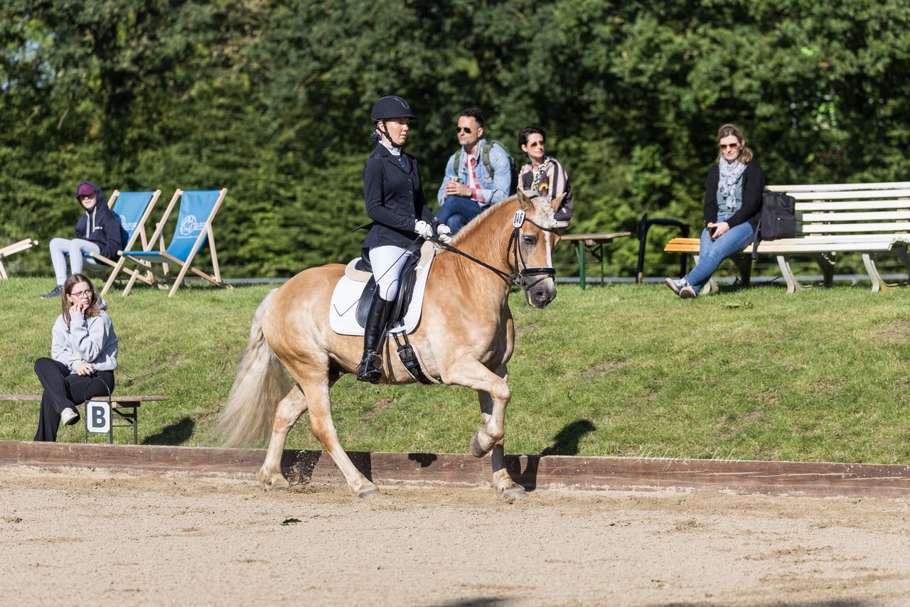Bild 150 - Pony Akademie Turnier